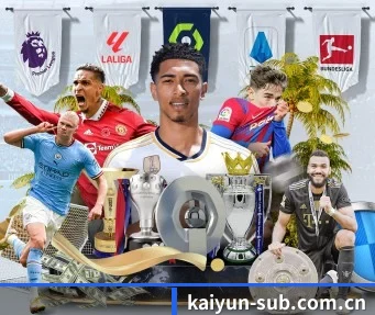 开云 APP | kaiyun